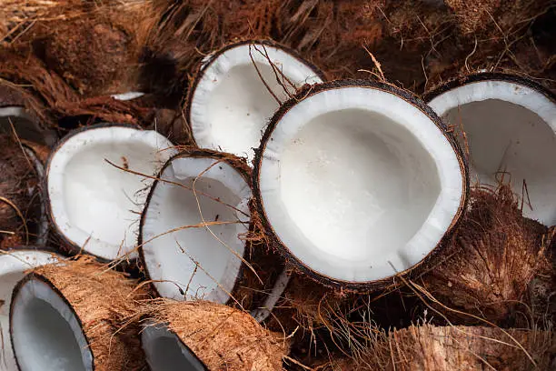 Coconut Benefits