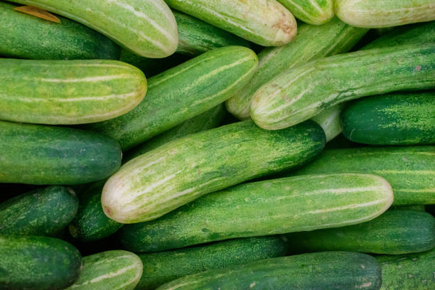 Cucumber Benefits