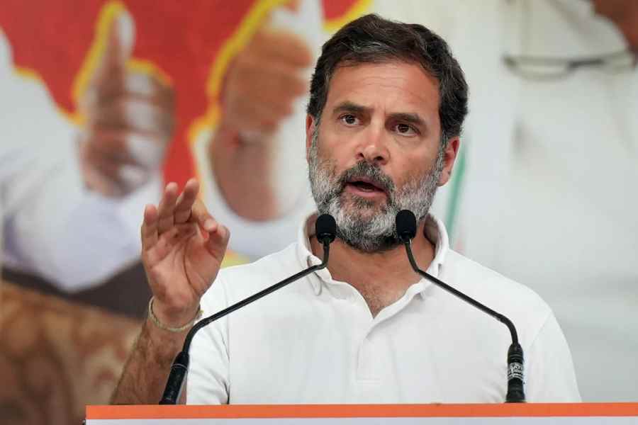Rahul Gandhi (photo credit -google)