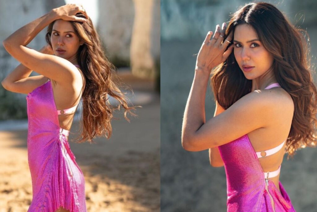 Sonam Bajwa (Photo credit Google)