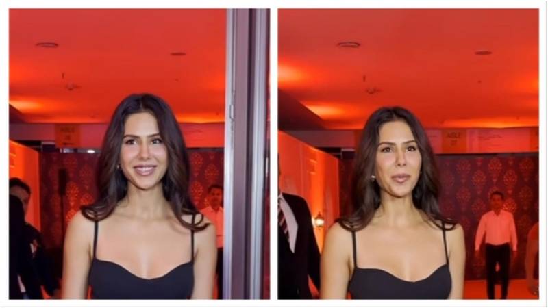 Sonam Bajwa (Photo credit Google)