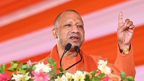 Cm yogi