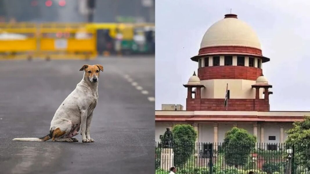 सुप्रीम कोर्ट के आवारा कुत्तों पर आदेश और राहुल गांधी की प्रतिक्रिया