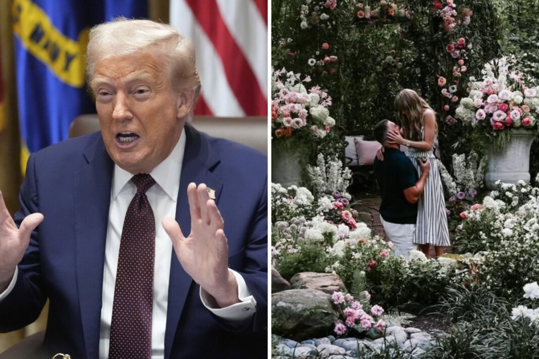 Taylor Swift and donald trump (photo credit -google)