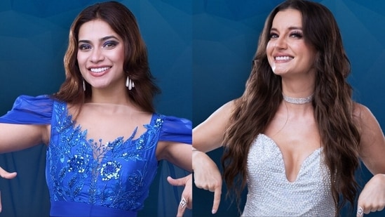 Bigg Boss 19 (photo credit -google)