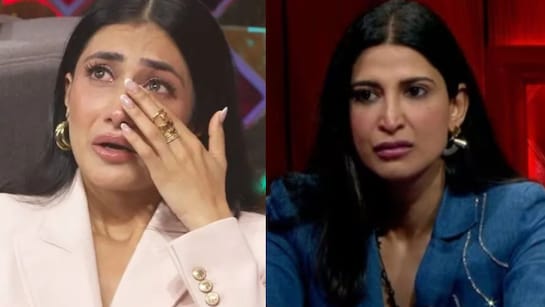 Dhanshrree Verma (photo credit -google)