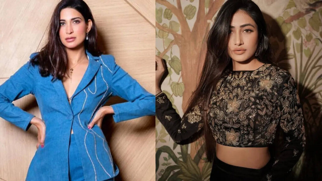 Dhanshrree Verma (photo credit -google)