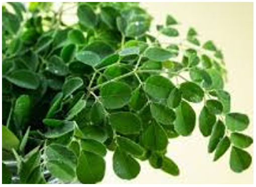 Health Tips (photo credit -google)