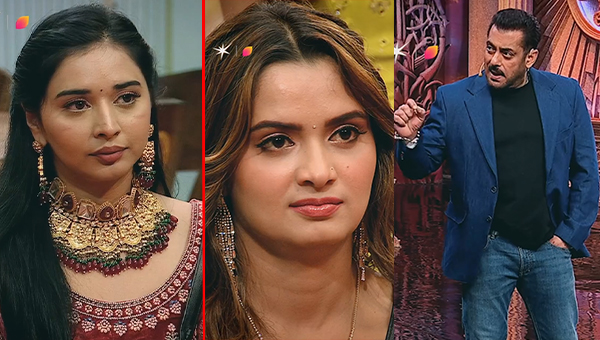 Bigg Boss 19 (photo credit -google)