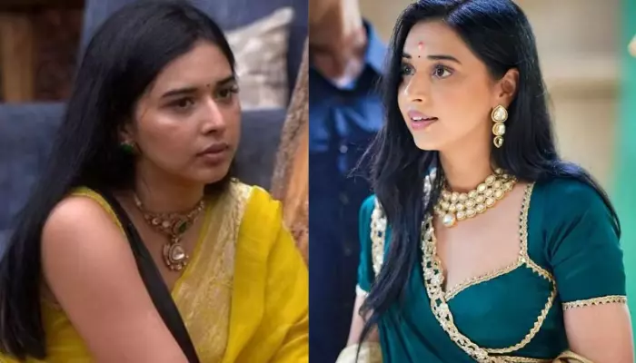 Bigg Boss 19 (photo credit -google)