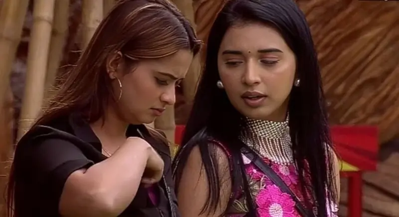 Bigg Boss 19 (photo credit -google)