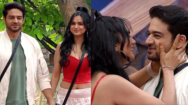 Bigg Boss 19 (Photo credit -google)