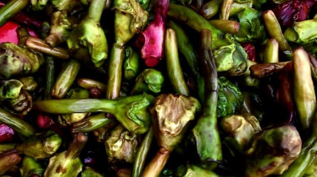 Health Tips (photo credit -google)