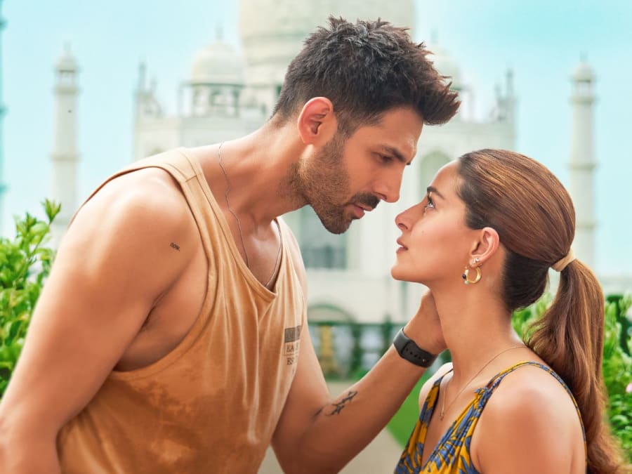 Kartik Aaryan (photo credit -google)