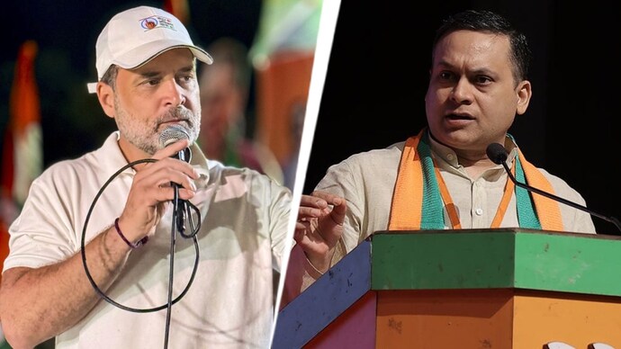 Rahul Gadhi (pc -google)