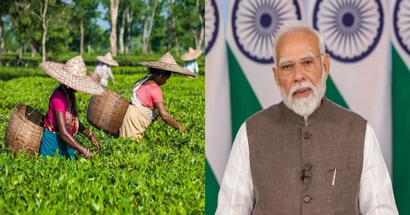 Pm Modi(Photo credit -google)