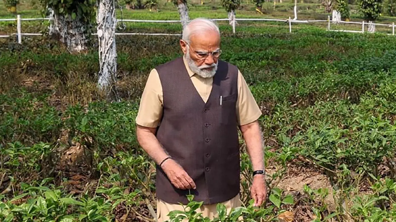 Pm Modi(Photo credit -google)