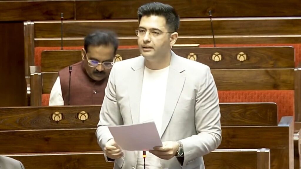 Raghav Chaddha(photo credit -google)