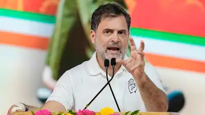 Rahul Gandhi (photo credit -google)